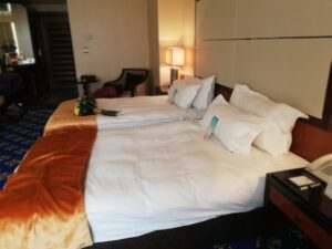 espinas-palace-hotel (7)